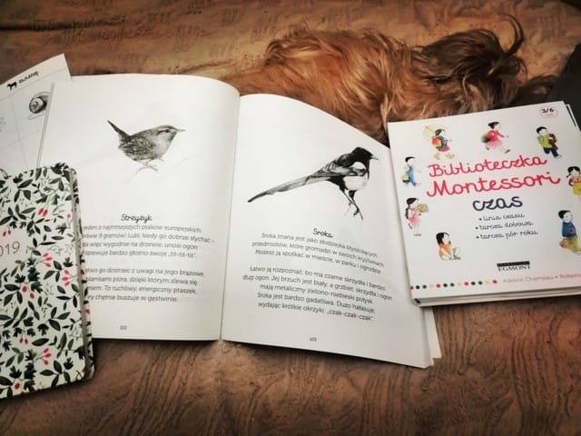 Biblioteczka Montessori