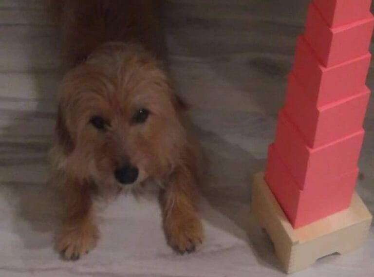 Powstawanie przedszkola, cz. 5, 6, 7 i 10